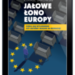 Jałowe Łono Europy. Czeka nas wyludnienie czy jesteśmy skazani na migrację? (e-book)